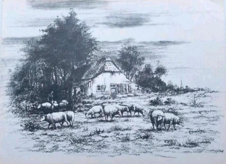 Originele tekening... Hub van Winkel ..., Antiek en Kunst, Kunst | Tekeningen en Foto's, Ophalen of Verzenden