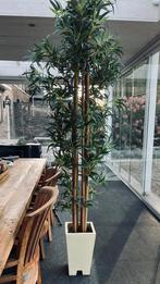 Kunstplant, bamboe., Ophalen