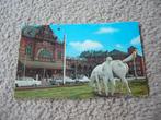GRONINGEN  ::: STATION MET PEERD VAN OME LOEKS, Ophalen of Verzenden, 1960 tot 1980, Gelopen, Groningen