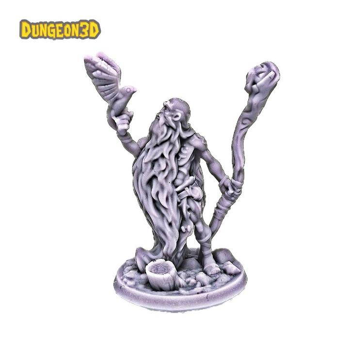 D&D Heroquest Druïde Miniatuur - Geschilderd Klaar!, Hobby en Vrije tijd, Modelbouw | Figuren en Diorama's, Ophalen of Verzenden