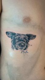 Tattoo, Ophalen, Nieuw