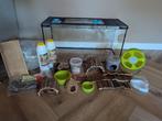Terrarium / aquarium / hamsterkooi met toebehoren, Dieren en Toebehoren, Knaagdieren en Konijnen | Hokken en Kooien, Minder dan 60 cm