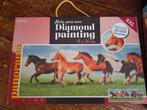 2 Diamond painting paarden., Ophalen of Verzenden, Nieuw