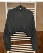 Sweater hoodie Zara maat S, Kleding | Dames, Zara, Ophalen of Verzenden, Zo goed als nieuw