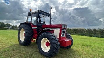 International 1055 Concourstaat | comfort 2000 | new conditi beschikbaar voor biedingen