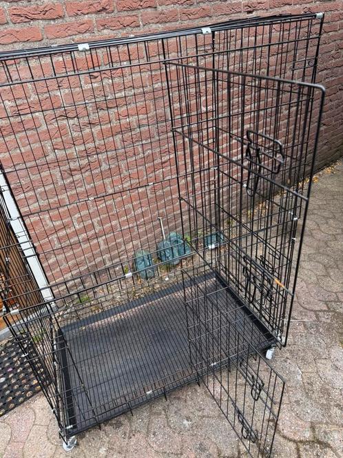 Kooi / kattenren, Dieren en Toebehoren, Katten-accessoires, Gebruikt, Ophalen