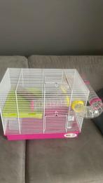 Complete hamsterkooi, Dieren en Toebehoren, Minder dan 60 cm, Kooi, Minder dan 75 cm, Ophalen of Verzenden