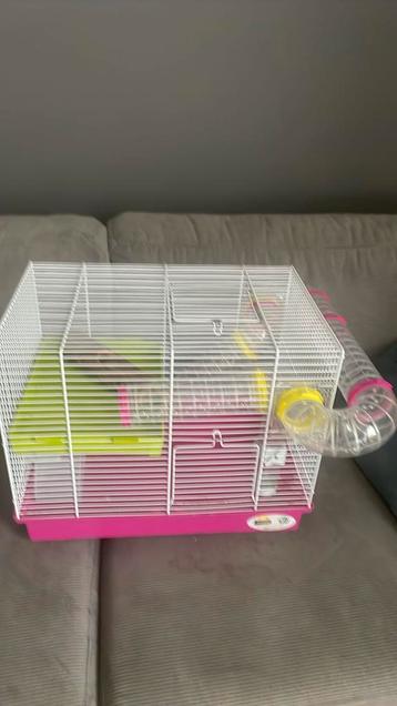 Complete hamsterkooi beschikbaar voor biedingen