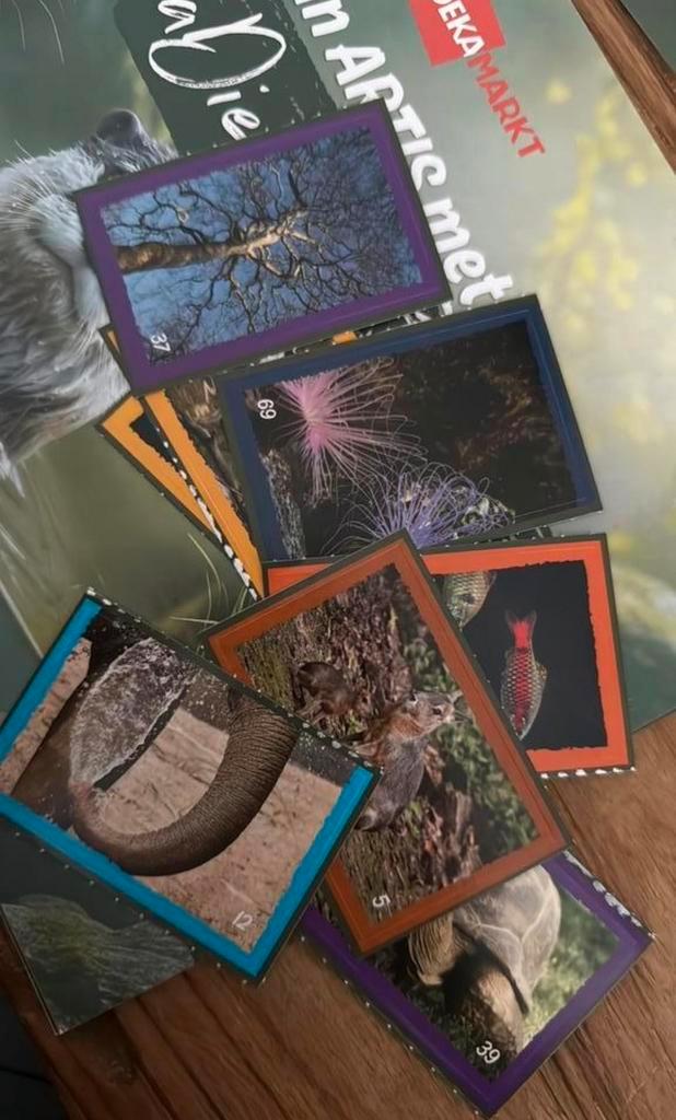 Artis deka markt stickers, Verzamelen, Supermarktacties, Albert Heijn, Ophalen of Verzenden