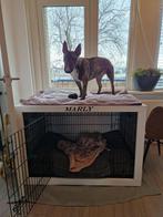 Unieke houten BENCH OMBOUW; op maat gemaakt, Dieren en Toebehoren, Ophalen, RW Houtidee, Houten handgemaakte huis- tuin- cadeau- honden- en katten artikelen