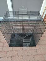 Ratten of Muizen kooi, Ophalen, Kooi, 60 tot 90 cm, Minder dan 75 cm