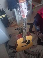 Phoenix Akoestische Gitaar, Ophalen of Verzenden, Gebruikt, Western- of Steelstringgitaar