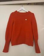 Fabienne Chapot Trui Maat M, Kleding | Dames, Truien en Vesten, Maat 38/40 (M), Oranje, Ophalen of Verzenden, Zo goed als nieuw