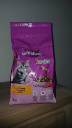 Whiskas junior 1,9 kg, Ophalen, Kat