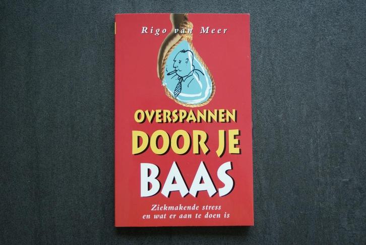 OVERSPANNEN DOOR JE BAAS..... Rigo van Meer., Boeken, Psychologie, Zo goed als nieuw, Ophalen of Verzenden