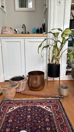 Diverse bloempotten en mosstok, Ophalen