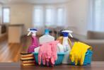 Professionele schoonmaakster aangeboden per direct flexibel, Overige vormen
