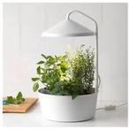 Ikea Bittergurka met kweeklamp led, Tuin en Terras, Kweekspullen, Ophalen, Zo goed als nieuw, Kweeklamp