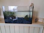 aquarium, Ophalen, Zo goed als nieuw, Leeg aquarium