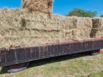 Hooi gras droog paarden schapen weiland, Dieren en Toebehoren, Ophalen, Vee