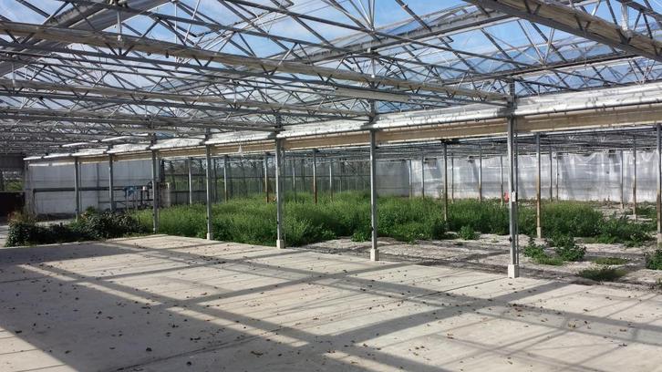 Kassen loodsen Tuincentra Koelcellen gezocht...., Zakelijke goederen, Overige Zakelijke goederen, Ophalen