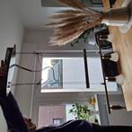 Küchenlampe, Huizen en Kamers