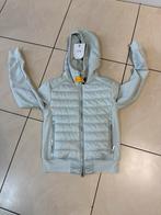 Nieuw: Parajumpers Caelie gewatteerd jack, Nieuw, Maat 34 (XS) of kleiner, Groen, Parajumpers