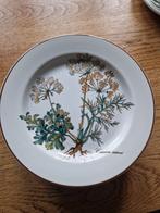 Villeroy & Boch Botanica Bord, Ophalen of Verzenden, Zo goed als nieuw, Bord(en), Overige stijlen