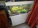 Juwel Rio 180, Ophalen, Zo goed als nieuw, Leeg aquarium