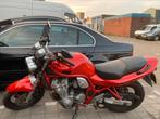 Suzuki  Bandit Naked bike nu of Nooit!!! Bieden maar !!!, Motoren, Motoren | Suzuki, 4 cilinders, Particulier, Naked bike