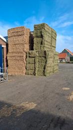 Topkwaliteit Hooi met analyse, stro en bodemstrooisels!, Dieren en Toebehoren, Dierenvoeding, Ophalen, Vee