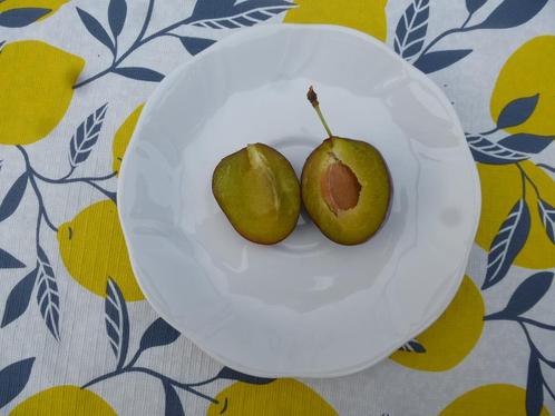 Mooie Valor pruimen onbespoten voor Limburgse vlaai en jam, Diversen, Levensmiddelen, Ophalen
