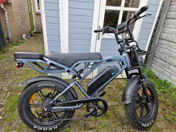 V20 Pro Fatbike met achterzitje en rek in goede staat beschikbaar voor biedingen