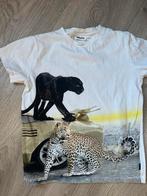 Molo shirt, Kinderen en Baby's, Kinderkleding | Maat 164, Ophalen of Verzenden, Zo goed als nieuw, Jongen, Shirt of Longsleeve