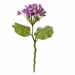HORTENSIA KUNST TAK - CLAYRE & EEF, Ophalen of Verzenden, Nieuw