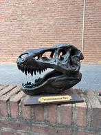 T-Rex hoofd decoratie Uniek!, Antiek en Kunst, Ophalen of Verzenden