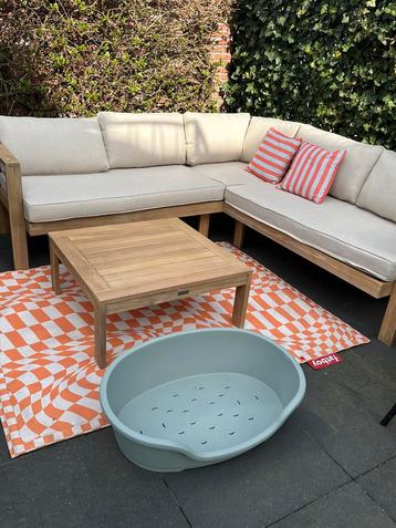 Nieuwe plastic hondenmand  beschikbaar voor biedingen