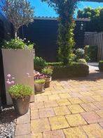21 vierkante meter bestrating, Tuin en Terras, Tegels en Klinkers, Ophalen, Gebruikt, Klinkers, 10 m² of meer
