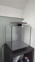 Superfish Qubiq 30 Pro Zwart aquarium - 30 L, Dieren en Toebehoren, Vissen | Aquaria en Toebehoren, Ophalen, Zo goed als nieuw