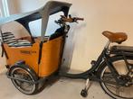 Babboe e-curve elektrische bakfiets, 4 kinderen of meer, Elektrisch, Zo goed als nieuw, Ophalen