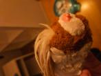 Zhu zhu pets hamsters met enkele toebehoren, Ophalen of Verzenden, Gebruikt, Jongen of Meisje
