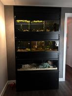 Aquarium hotel, Dieren en Toebehoren, Vissen | Aquaria en Toebehoren, Ophalen of Verzenden, Zo goed als nieuw, Leeg aquarium