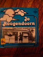 Jo Hoogendoorn, Cd's en Dvd's, Vinyl | Nederlandstalig, Ophalen of Verzenden, Gebruikt, Overige formaten, Levenslied of Smartlap