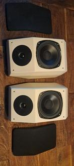 SKANSKA PREFAB flexosite speaker systems flexbox, Ophalen of Verzenden, Gebruikt, Front, Rear of Stereo speakers, Overige merken