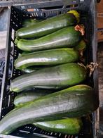 Verse Biologische Courgettes uit Eigen Tuin, Tuin en Terras, Planten | Tuinplanten, Ophalen of Verzenden, Eenjarig, Groenteplanten