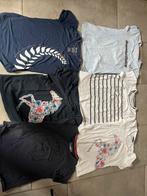 Verschillende shits/polo’s dames L, Dieren en Toebehoren, Dressuur, Ophalen of Verzenden, Zo goed als nieuw, Dames