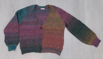 ANNA BLUE vest. Maat: Medium  Multicolor. beschikbaar voor biedingen