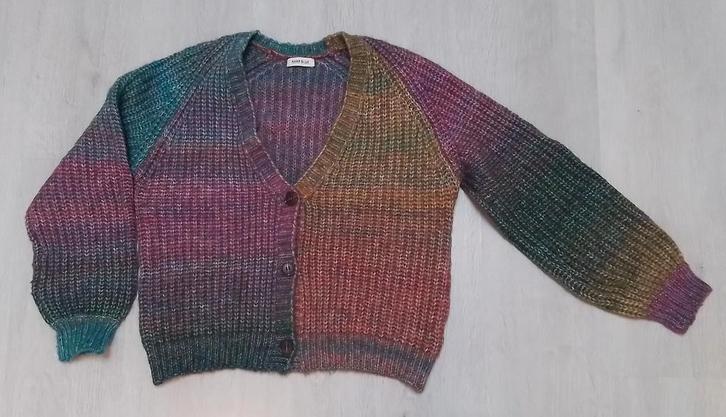 ANNA BLUE vest. Maat: Medium  Multicolor., Kleding | Dames, Truien en Vesten, Zo goed als nieuw, Maat 38/40 (M), Overige kleuren