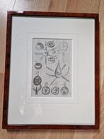 Gravure anatomie van het oog, Ophalen