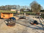 Shettie paddock paradise, Toebehoren, 4 paarden of pony's of meer
